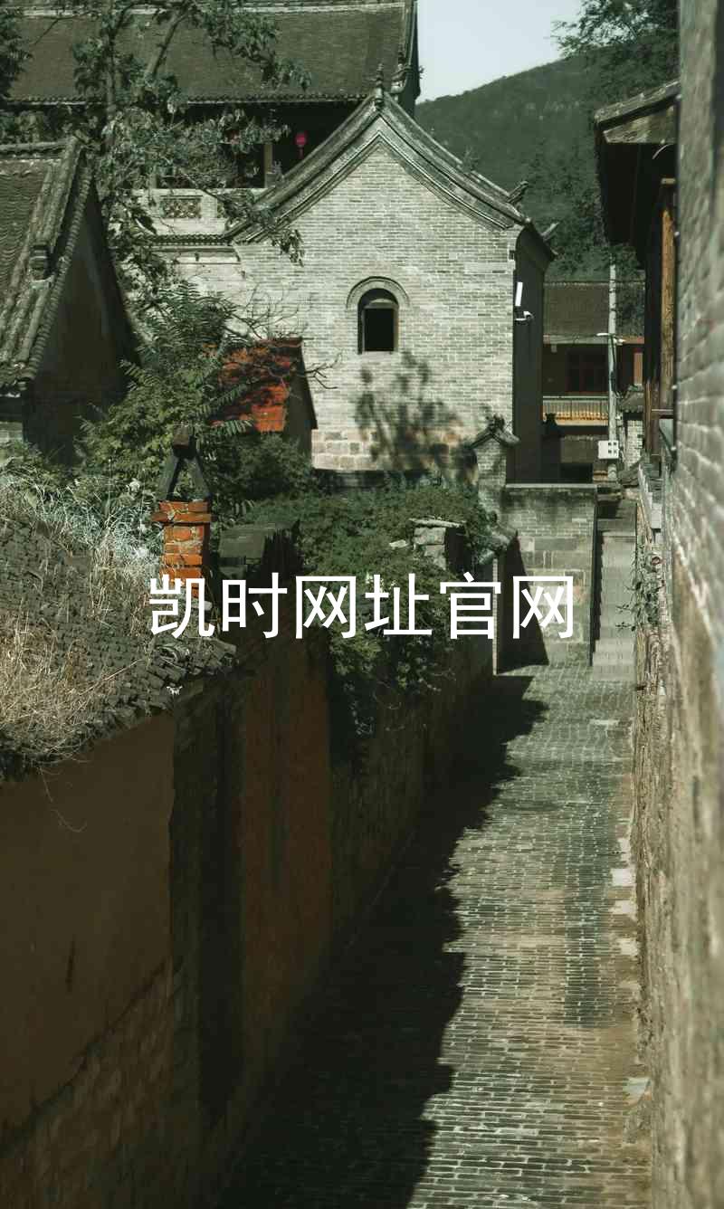 凯时网址官网