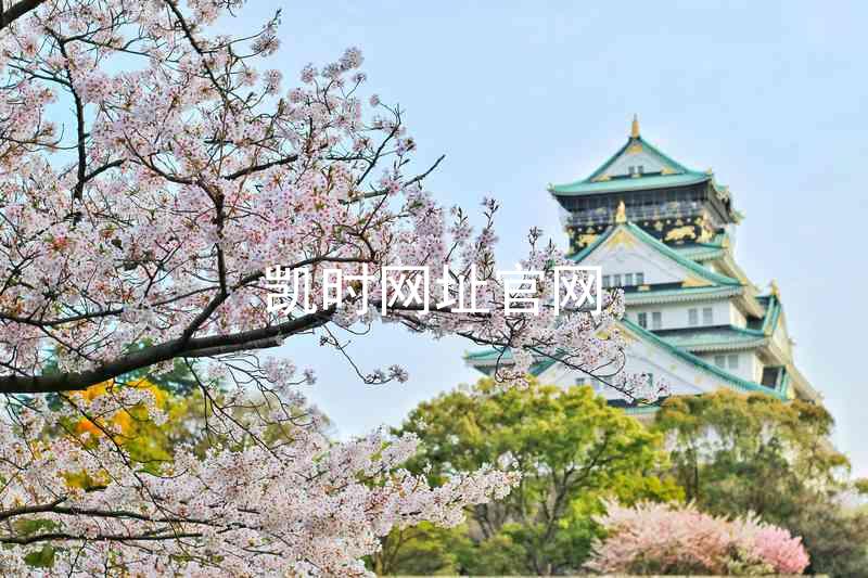 凯时网址官网